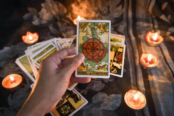 tarot cards Arlee